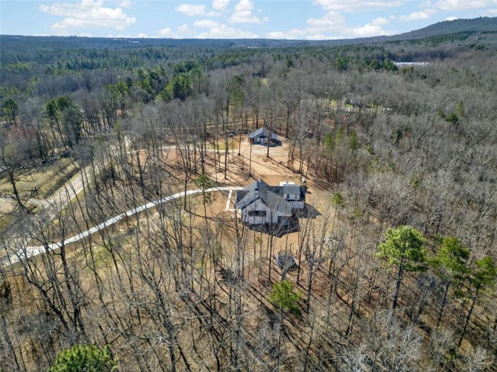 433 Old Roanoke Road Bowdon, GA 30108 - Photo 48 of 52 a view of a lake in middle of the town