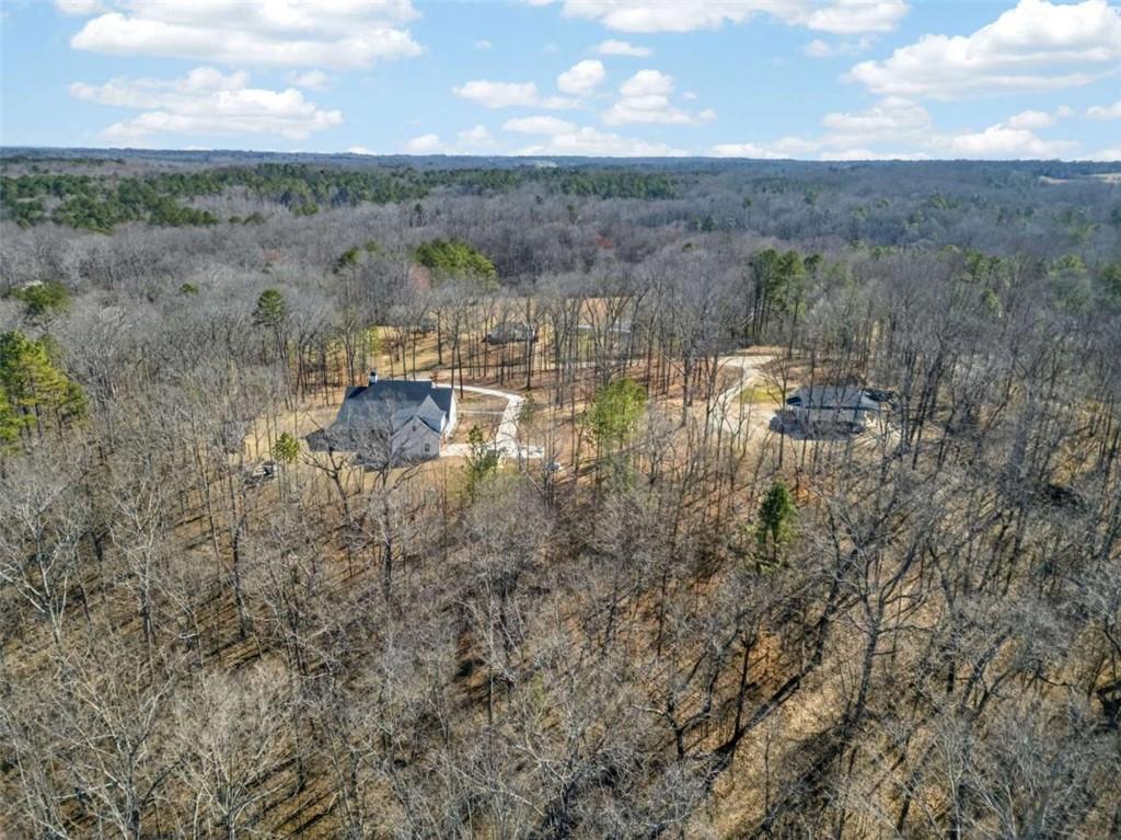 433 Old Roanoke Road Bowdon, GA 30108 - Photo 49 of 52 a view of lake view and mountain view