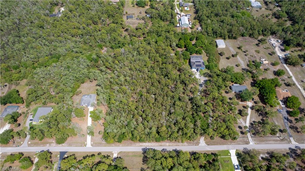 0 Wilson Boulevard North Naples, FL 34120 - Photo 5 of 8 a view of a yard with plants