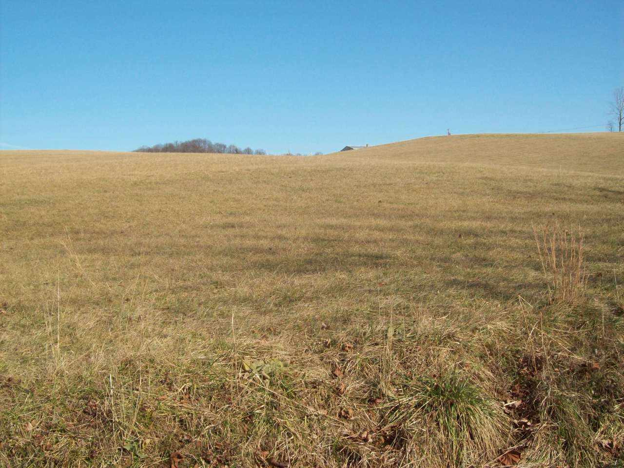 0 Blue Ridge Turnpike Fincastle, VA 24090 - Photo 2 of 3 View 2