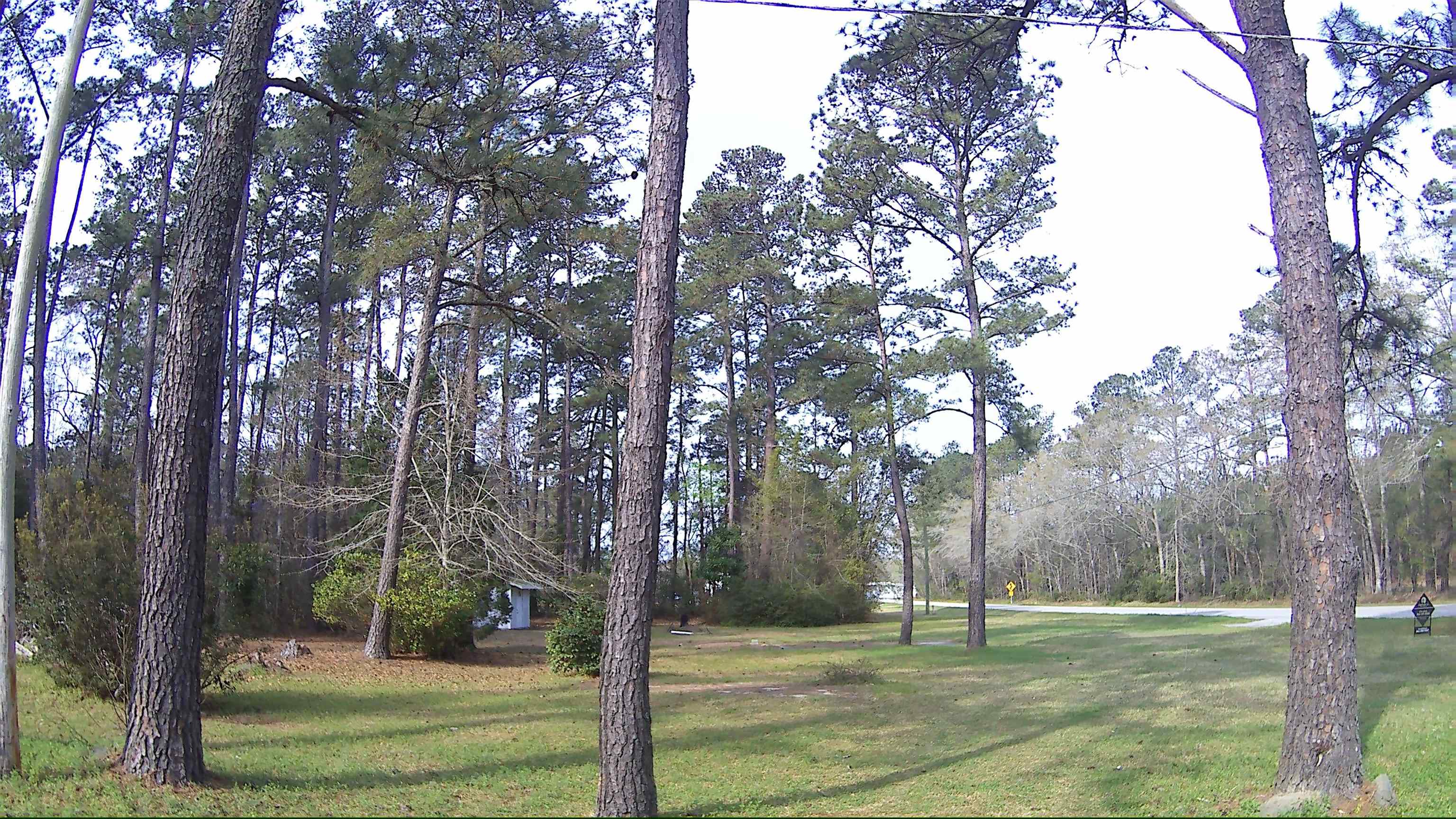 5272 Carriage Road Conway, SC 29527 - Photo 17 of 23