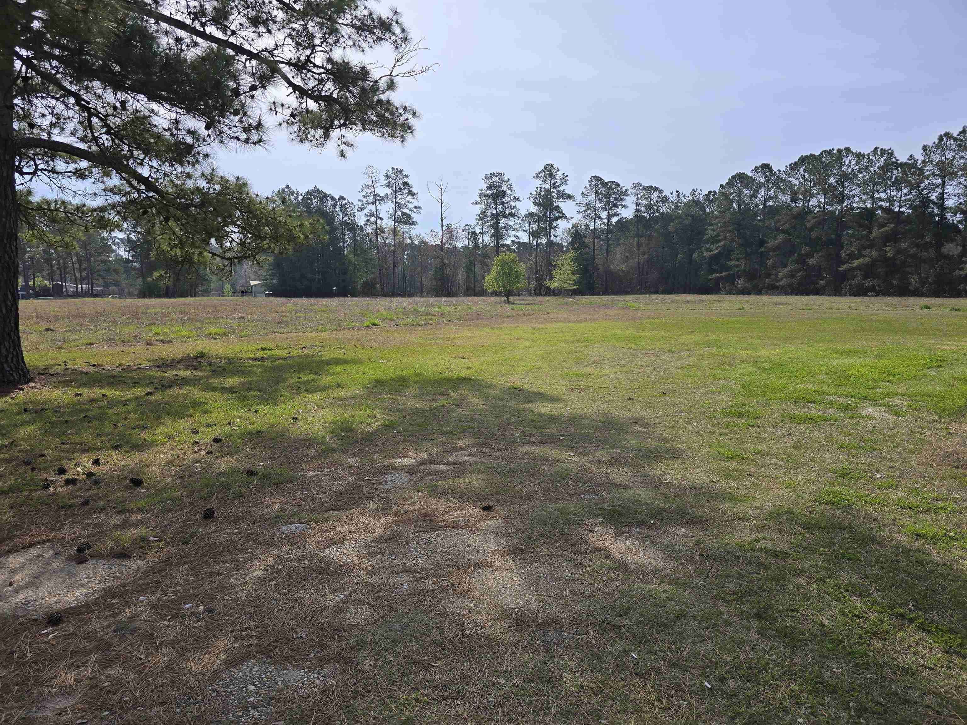 5272 Carriage Road Conway, SC 29527 - Photo 6 of 23