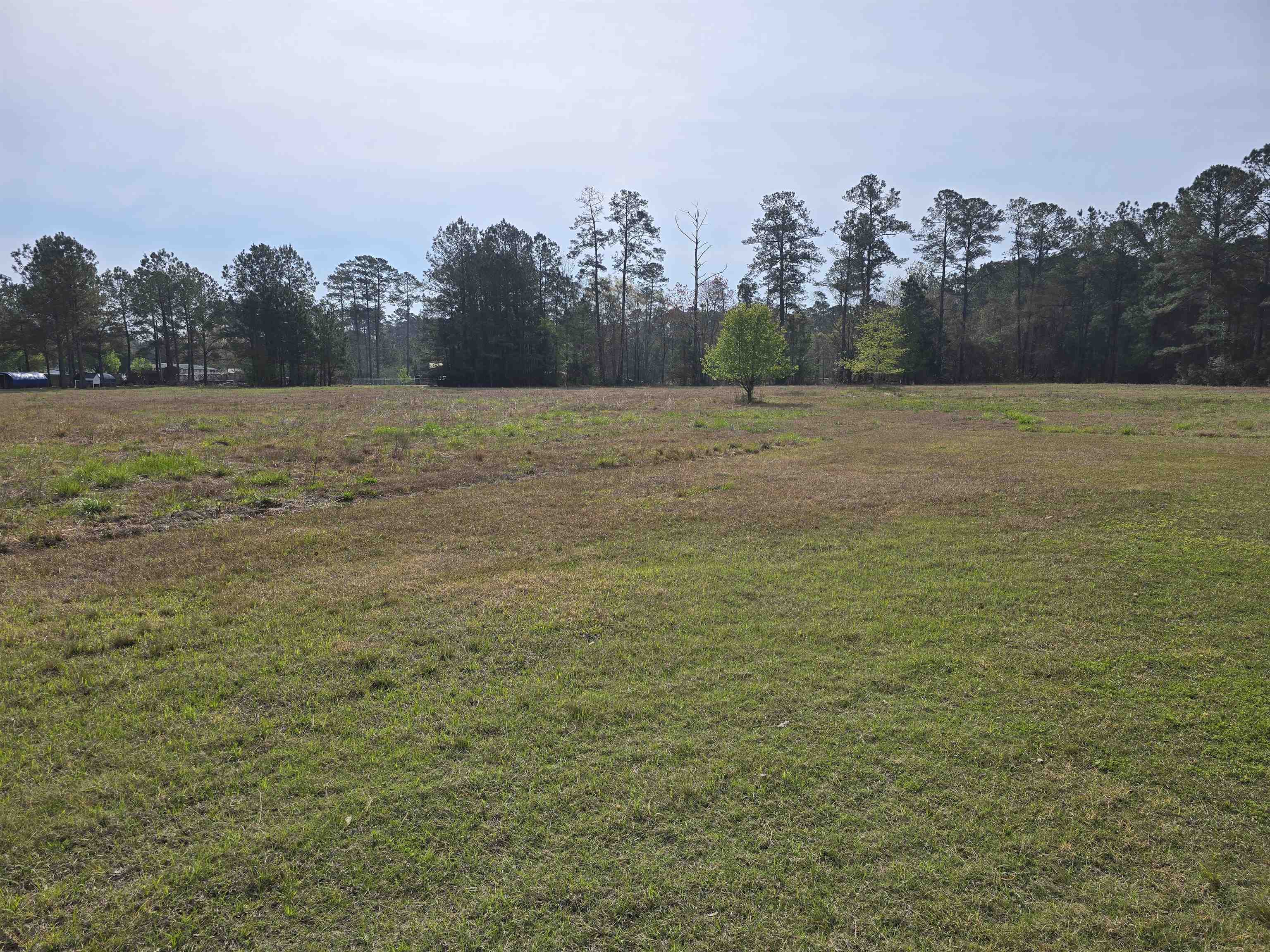 5272 Carriage Road Conway, SC 29527 - Photo 7 of 23