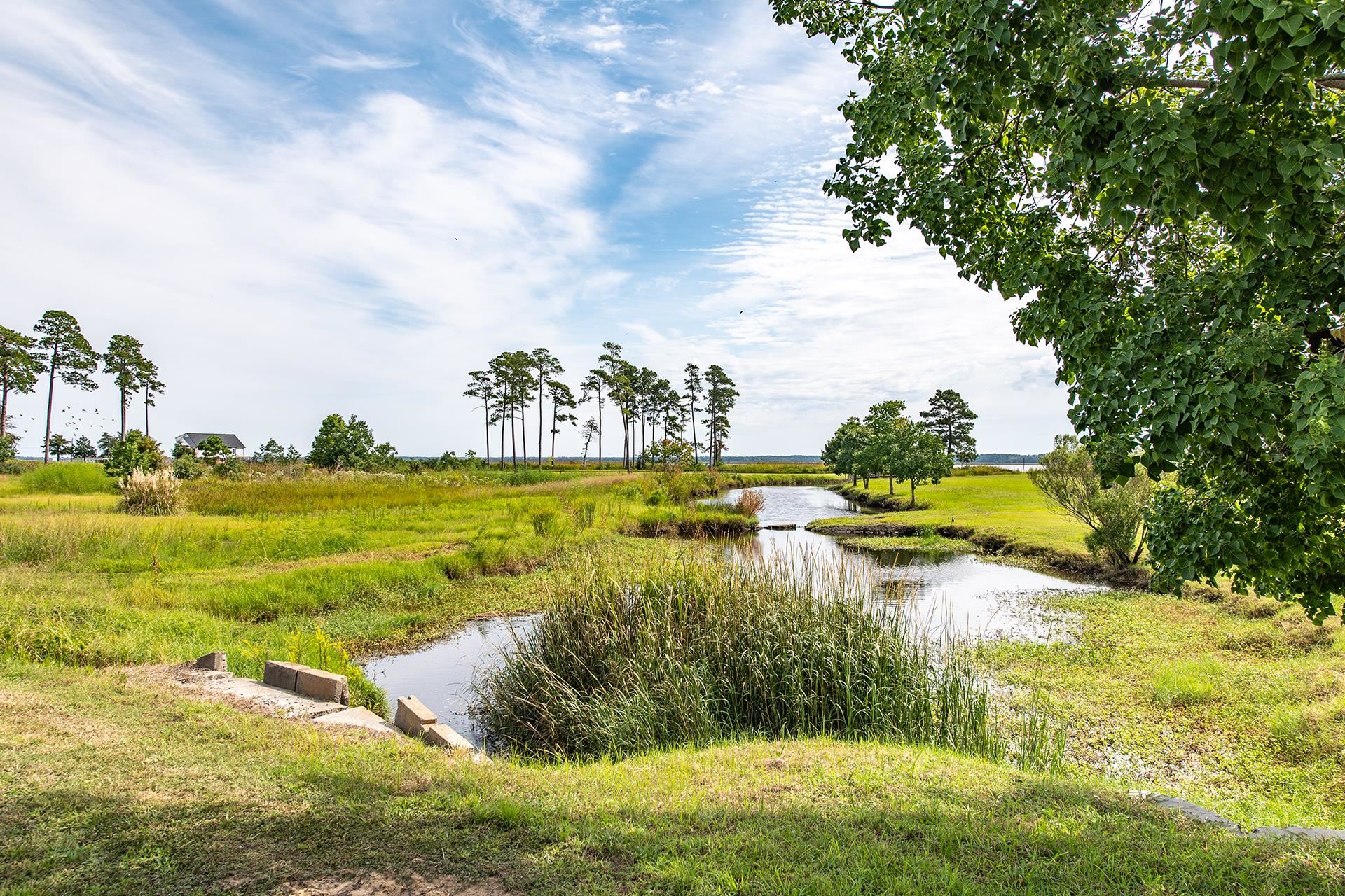603 Antebellum Lane Georgetown, SC 29440 - Photo 42 of 42