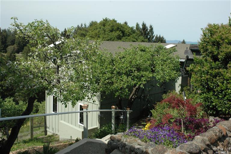 10430 Cherry Ridge Road Sebastopol, CA 95472 - Photo 1 of 1 a backyard of a house with lots of green space