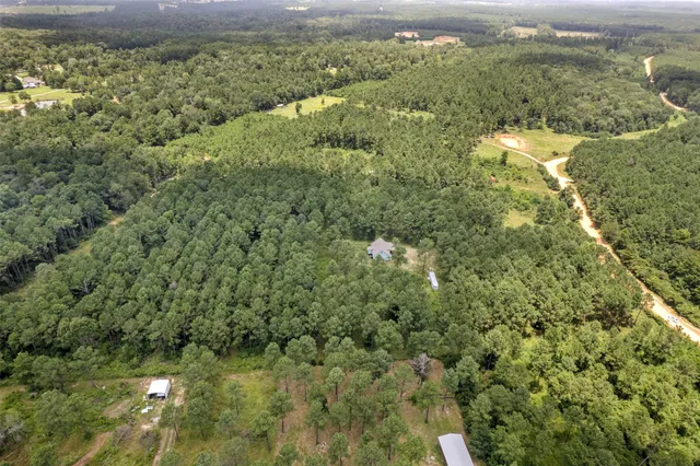 a view of a forest with a yard