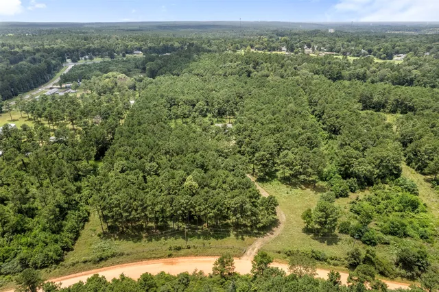 an aerial view of forest