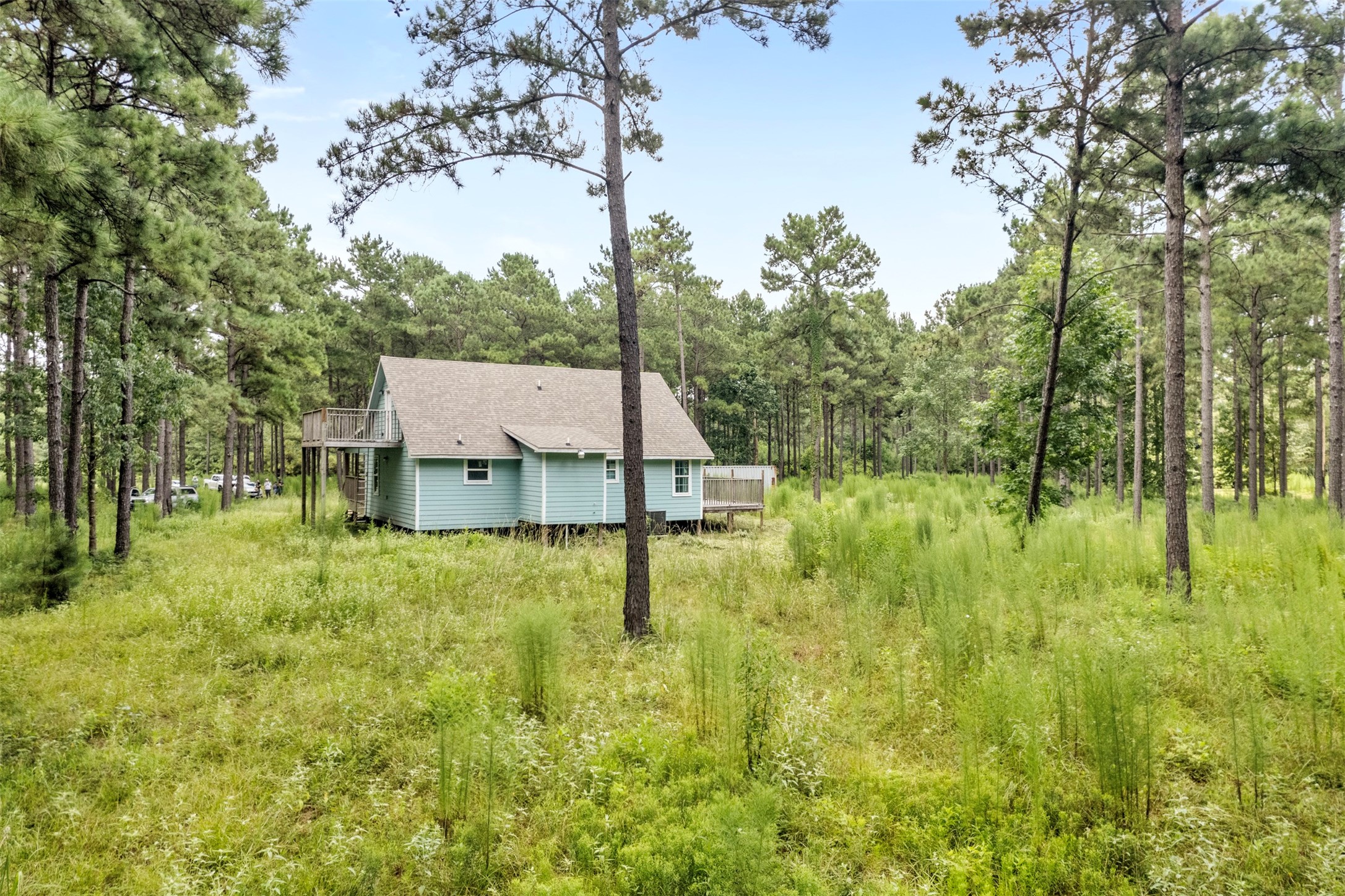 235 Bracewell Cemetery Road Livingston, TX 77351 - Photo 6 of 39 a backyard of a house with plants and large trees