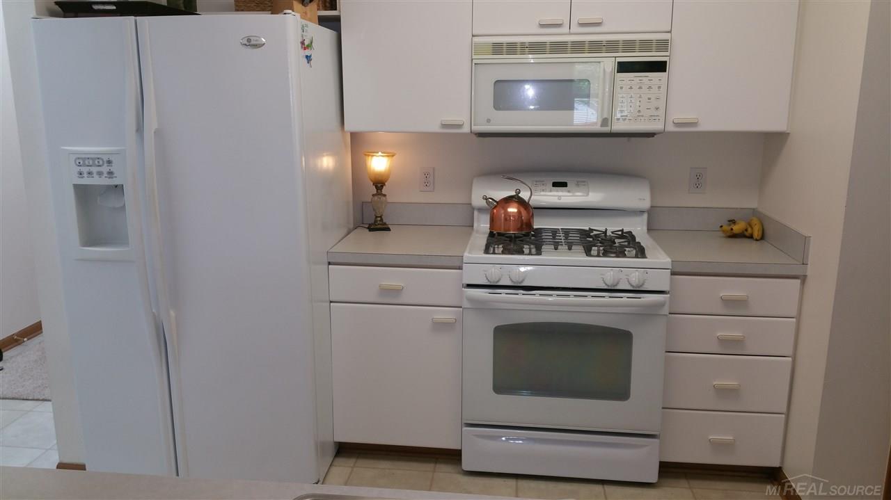 462 East South Boulevard Rochester, MI 48307 - Photo 7 of 64