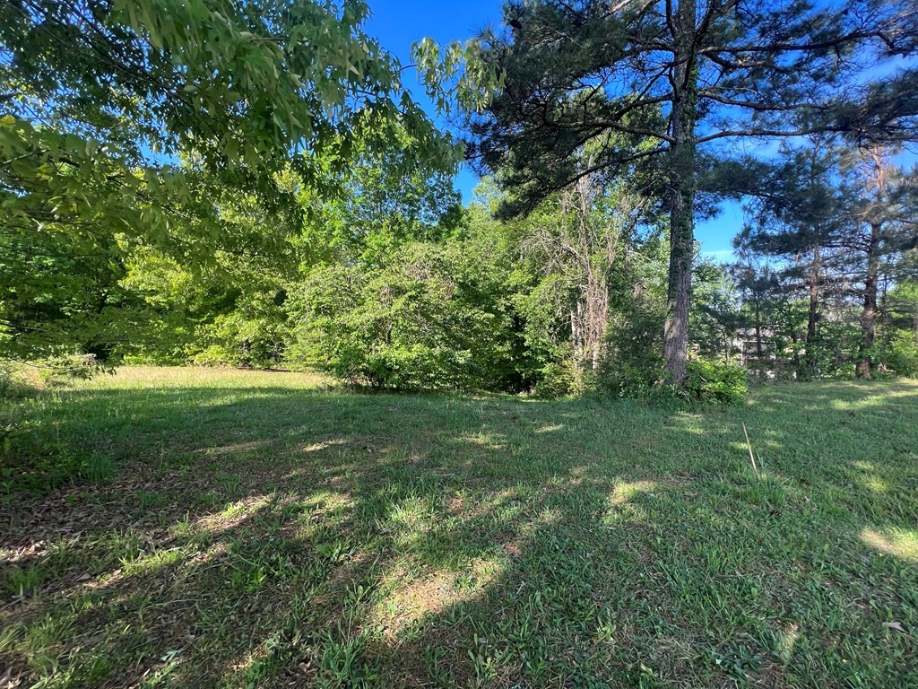 45 Overlook Way Cohutta, GA 30710 - Photo 8 of 13 Gallery Image 8