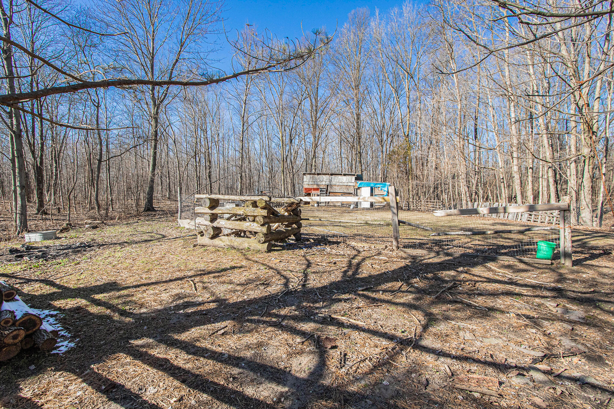 7133 Johnson Road Coloma, MI 49038 - Photo 37 of 49 Yard