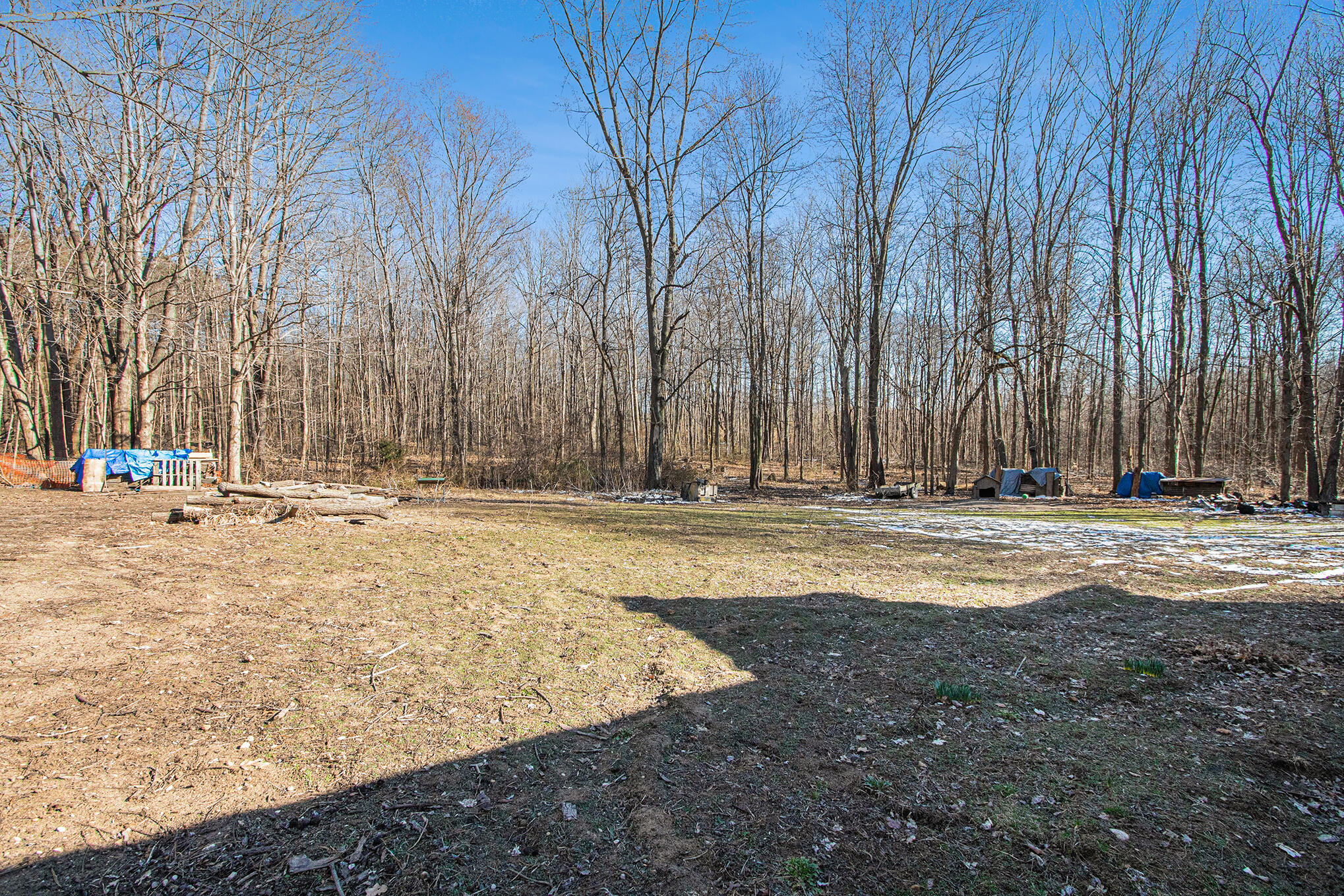7133 Johnson Road Coloma, MI 49038 - Photo 39 of 49 Yard