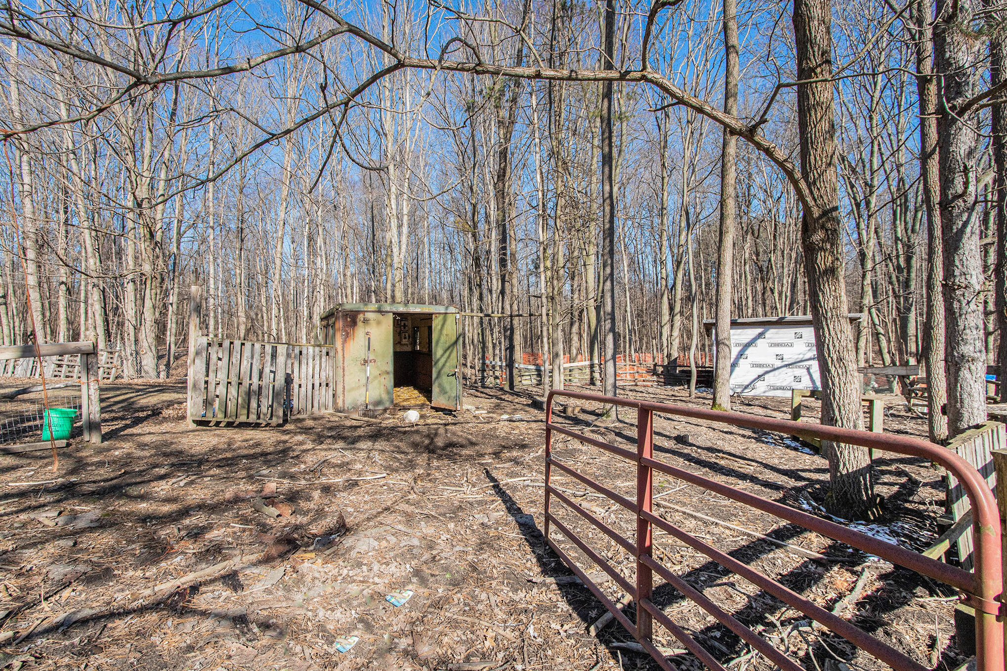 7133 Johnson Road Coloma, MI 49038 - Photo 40 of 49 Pasture