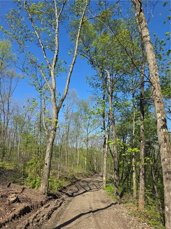 2210 Ramer Road Shelocta, PA 15774 - Photo 1 of 5 Gallery Image 1