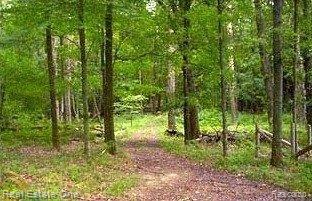 4228 Hough Road Dryden, MI 48428 - Photo 21 of 24 Wooded Lot