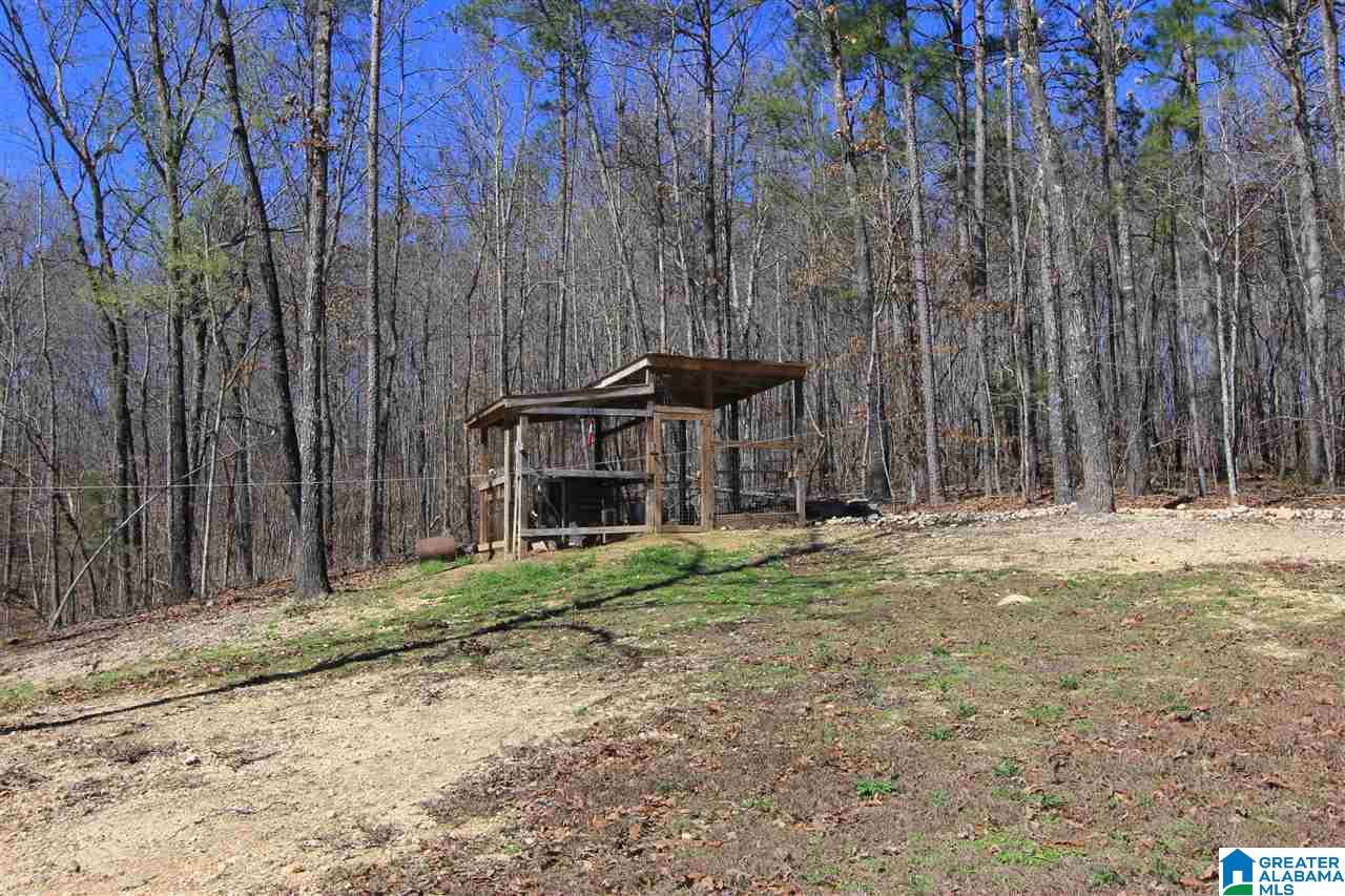 664 Mill Branch Road Jacksonville, AL 36265 - Photo 50 of 50