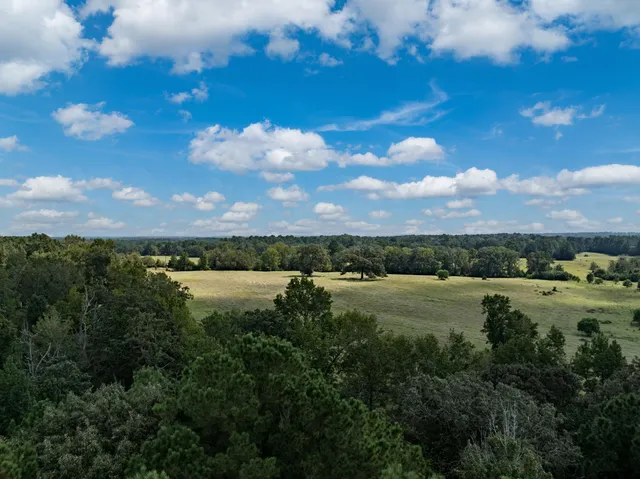 a view of a lake with a city