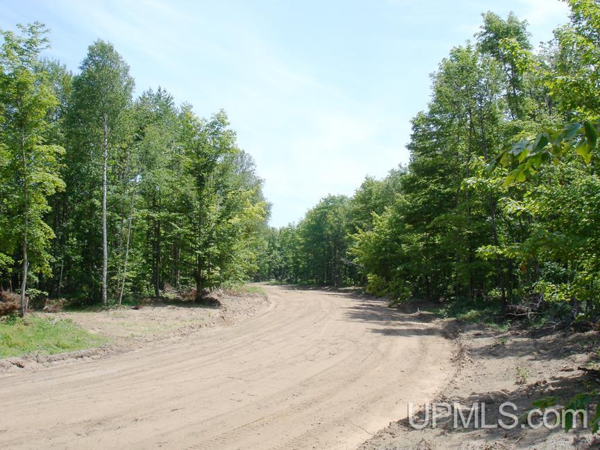 Tbd Northshore Bluffs Road, Unit 3 Manistique, MI 49854 - Photo 5 of 22