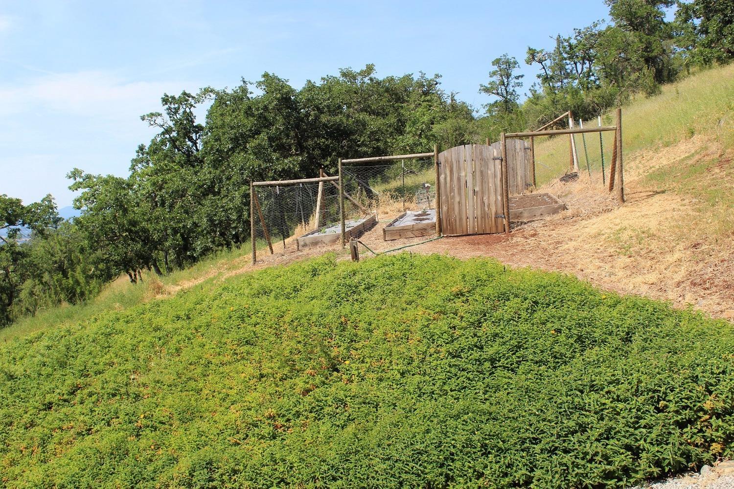 4441 Dry Creek Road Eagle Point, OR 97524 - Photo 10 of 10 Additional Photo