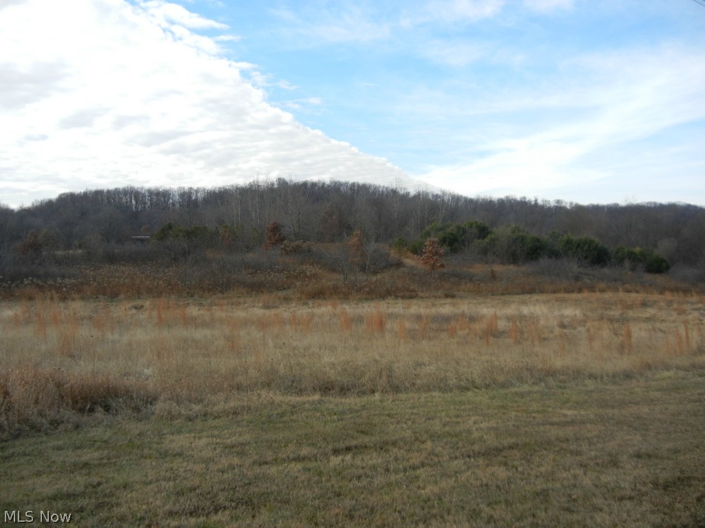 49901 Tipple Road Hopedale, OH 43976 - Photo 20 of 25 Gallery Image 20