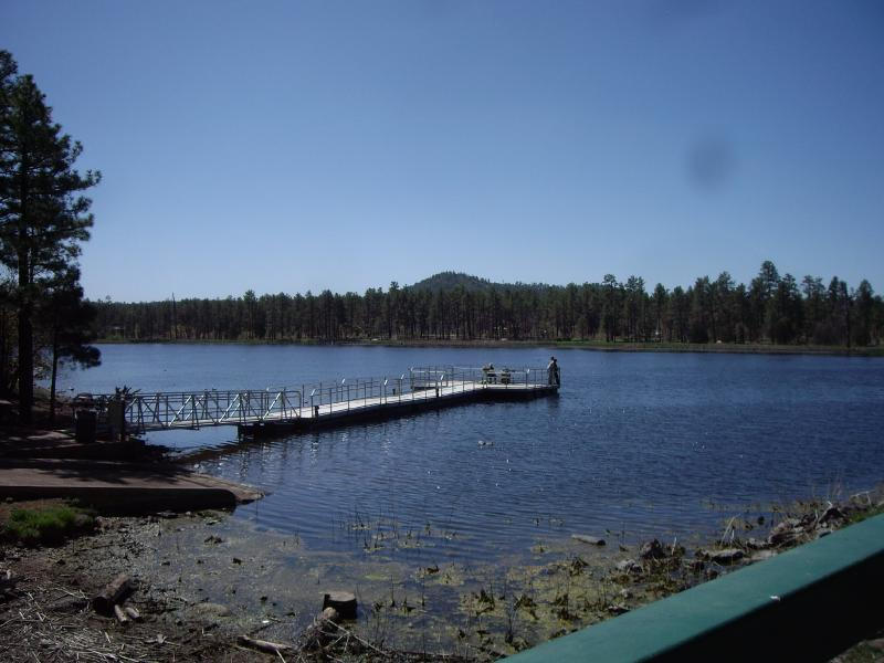 1629 Reed Lane Lakeside, AZ 85929 - Photo 13 of 18