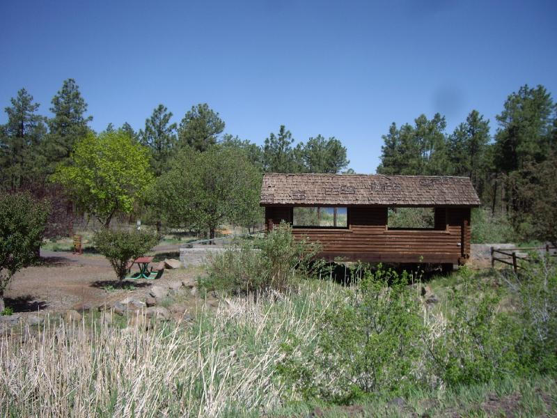 1629 Reed Lane Lakeside, AZ 85929 - Photo 15 of 18