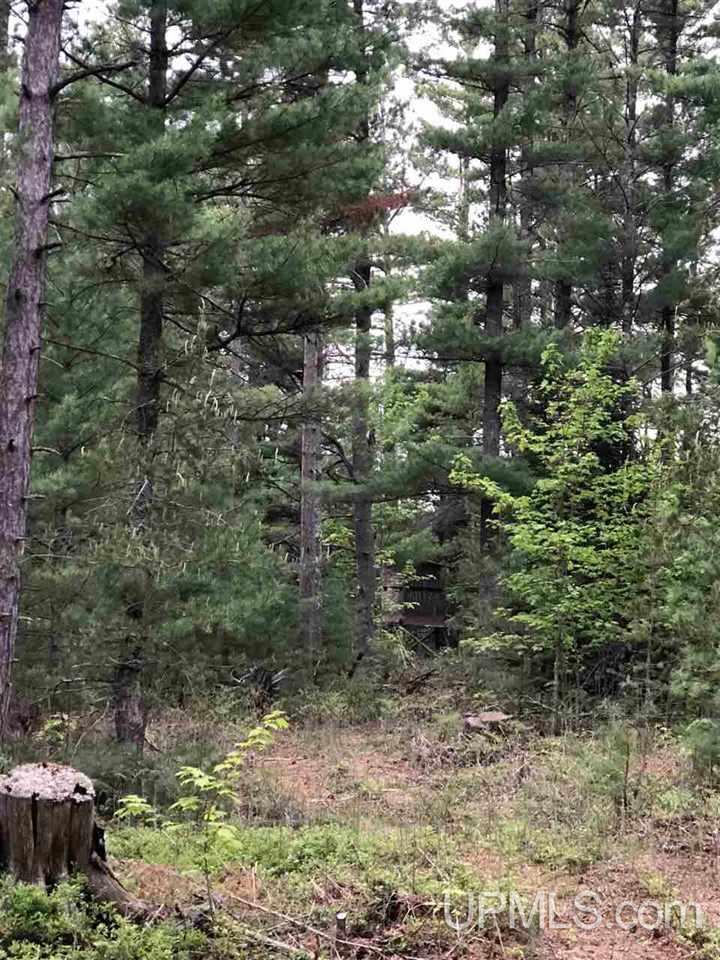 Tbd River Road, Unit PARCEL 4 Gulliver, MI 49854 - Photo 13 of 13 Gallery Image 13