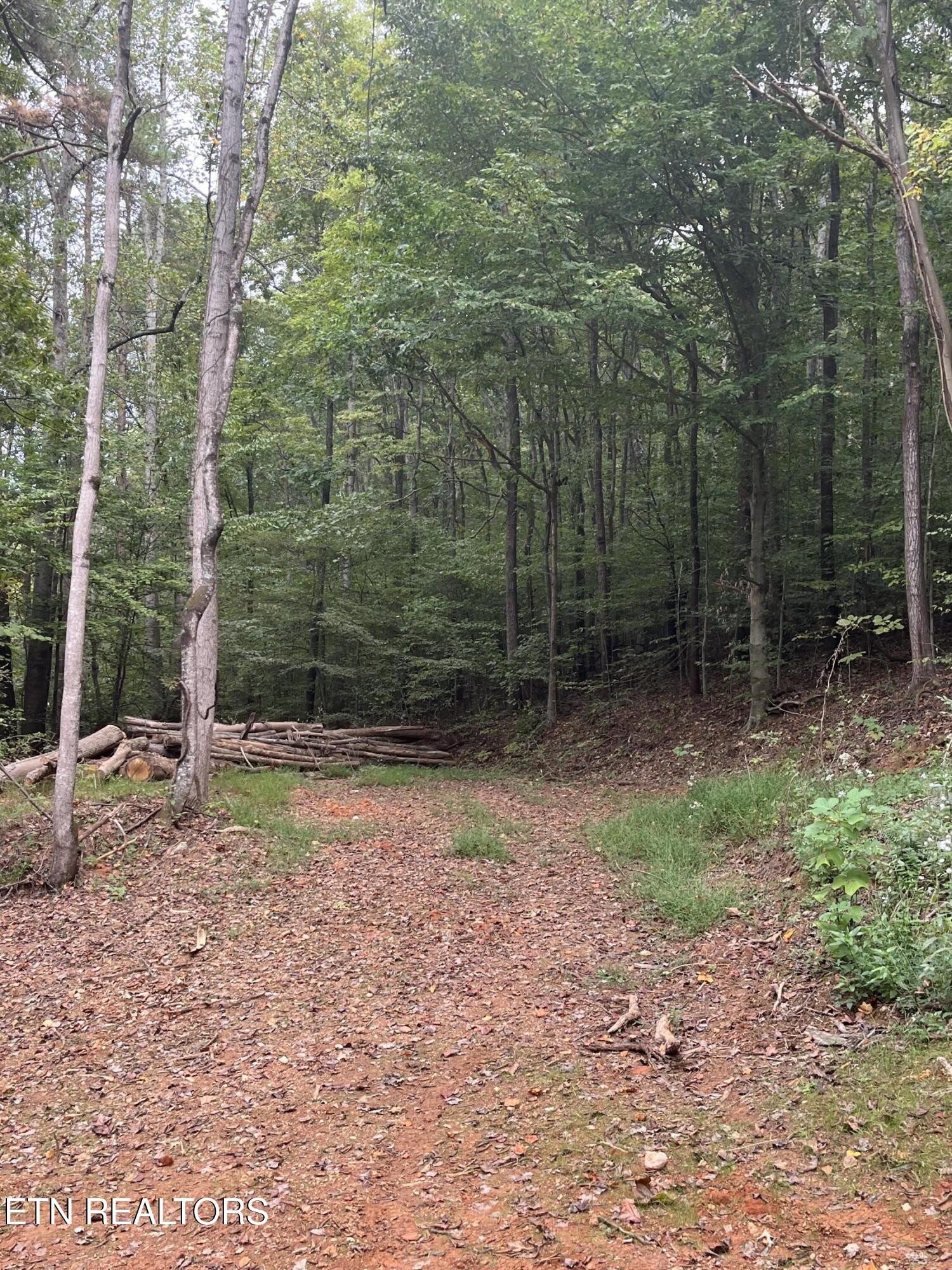 0 Cr 67 Road Riceville, TN 37370 - Photo 21 of 50 Gallery Image 21