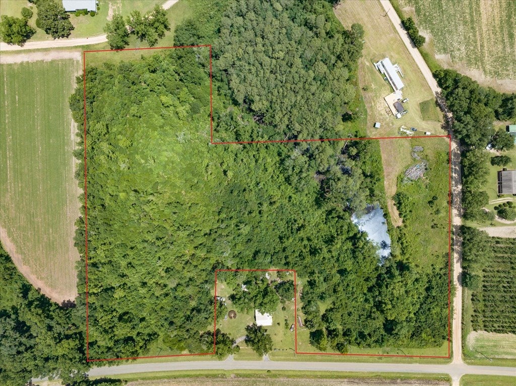 431 Dry Lake Road Boston, GA 31626 - Photo 22 of 22 Gallery Image 22