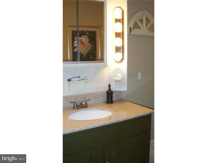 6650 Ridge Road Zionsville, PA 18092 - Photo 12 of 25 Master Bathroom