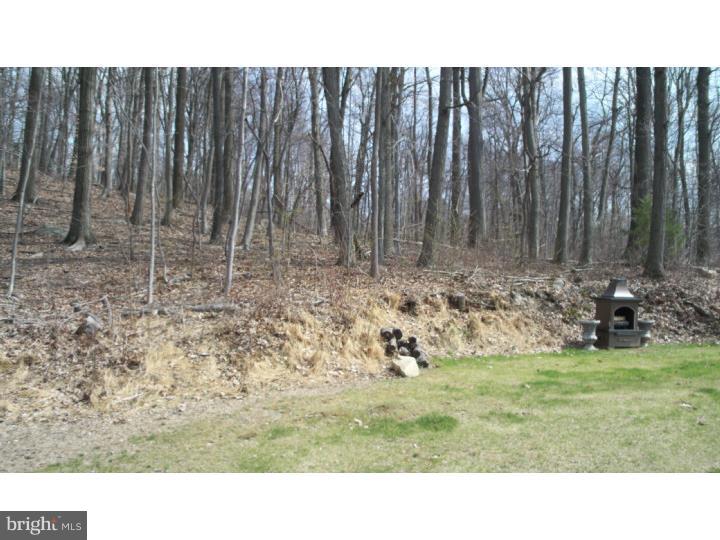 6650 Ridge Road Zionsville, PA 18092 - Photo 19 of 25 View in Back