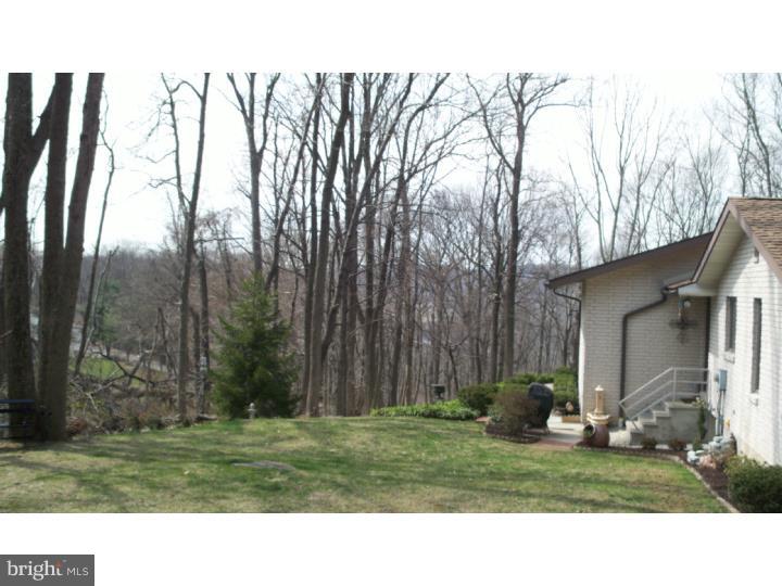 6650 Ridge Road Zionsville, PA 18092 - Photo 22 of 25 Side Yard