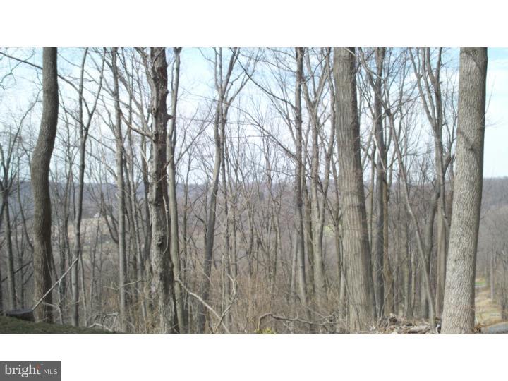 6650 Ridge Road Zionsville, PA 18092 - Photo 23 of 25 View