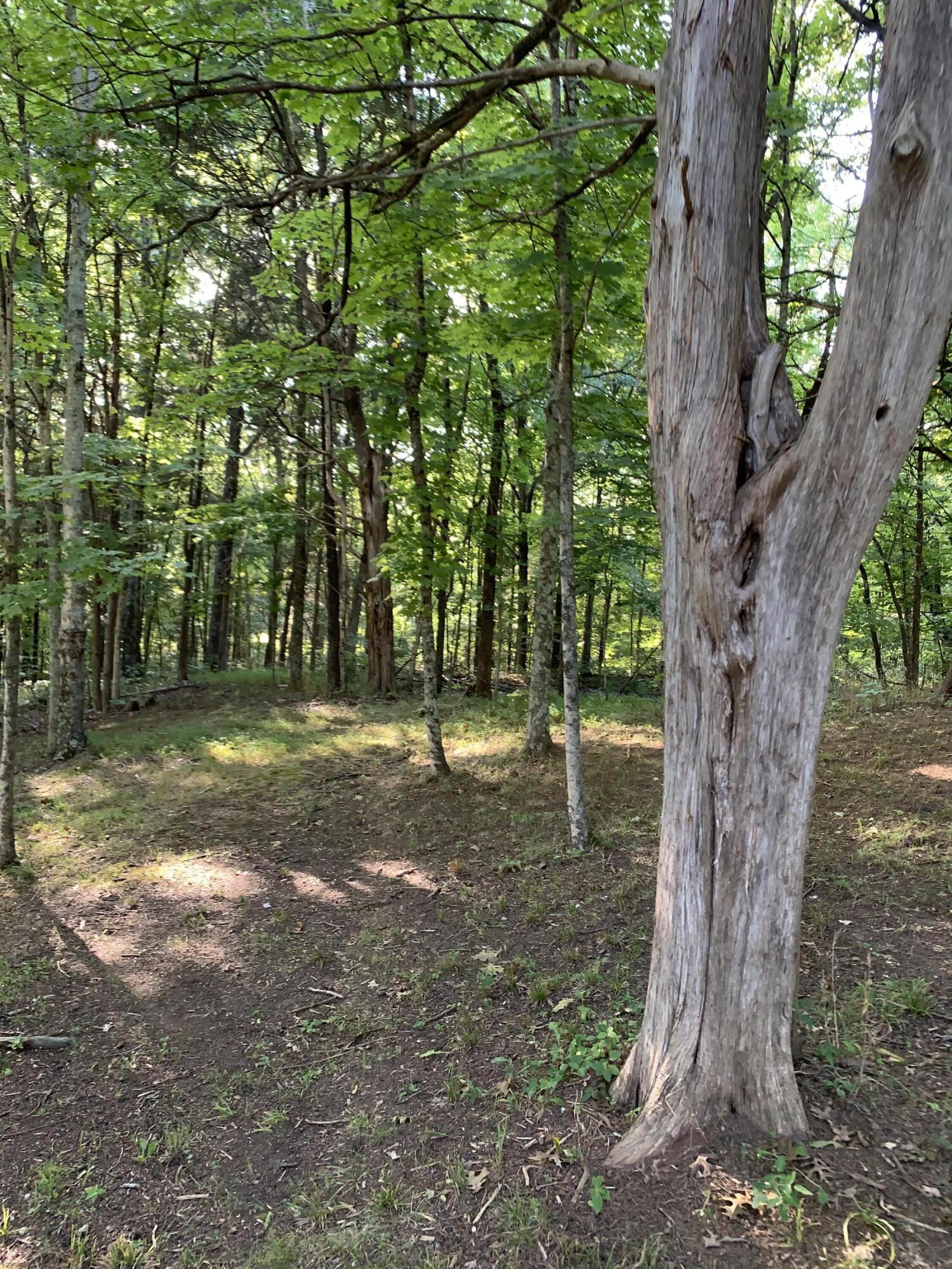 2075 Mt Zion Road Frankfort, KY 40601 - Photo 32 of 39 75364BF8-1DCE-4A99-BFCD-A4B7081DA09E