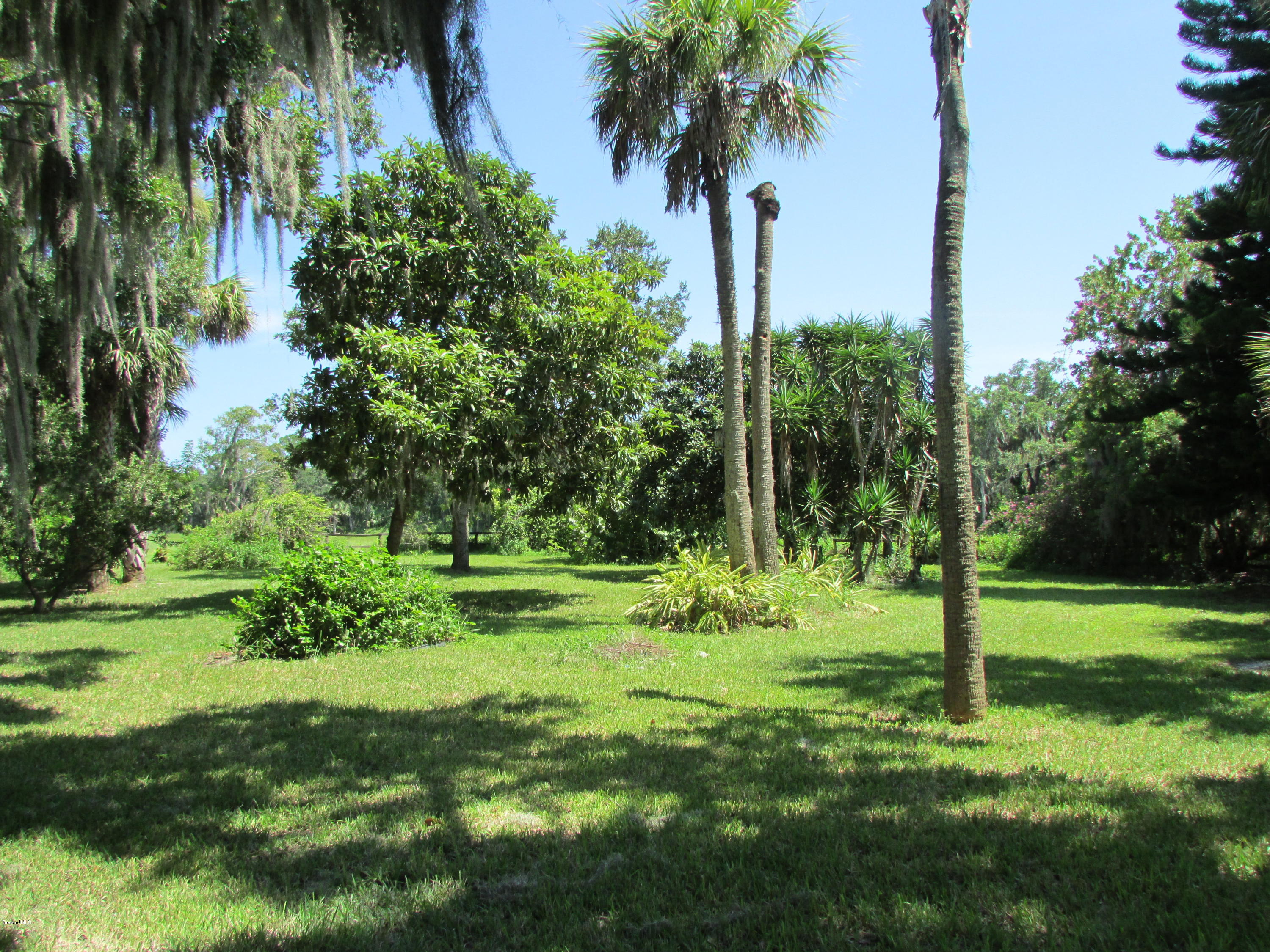 1380 Meadowbrook Road Northeast Palm Bay, FL 32905 - Photo 4 of 19 IMG_1298