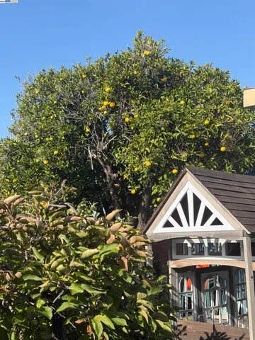 $825,000 | 963 Dillo Street, San Leandro, CA 94578