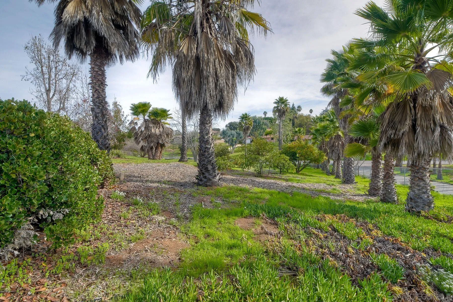 2705 Alexander Drive Escondido, CA 92029 - Photo 40 of 60 a view of yard