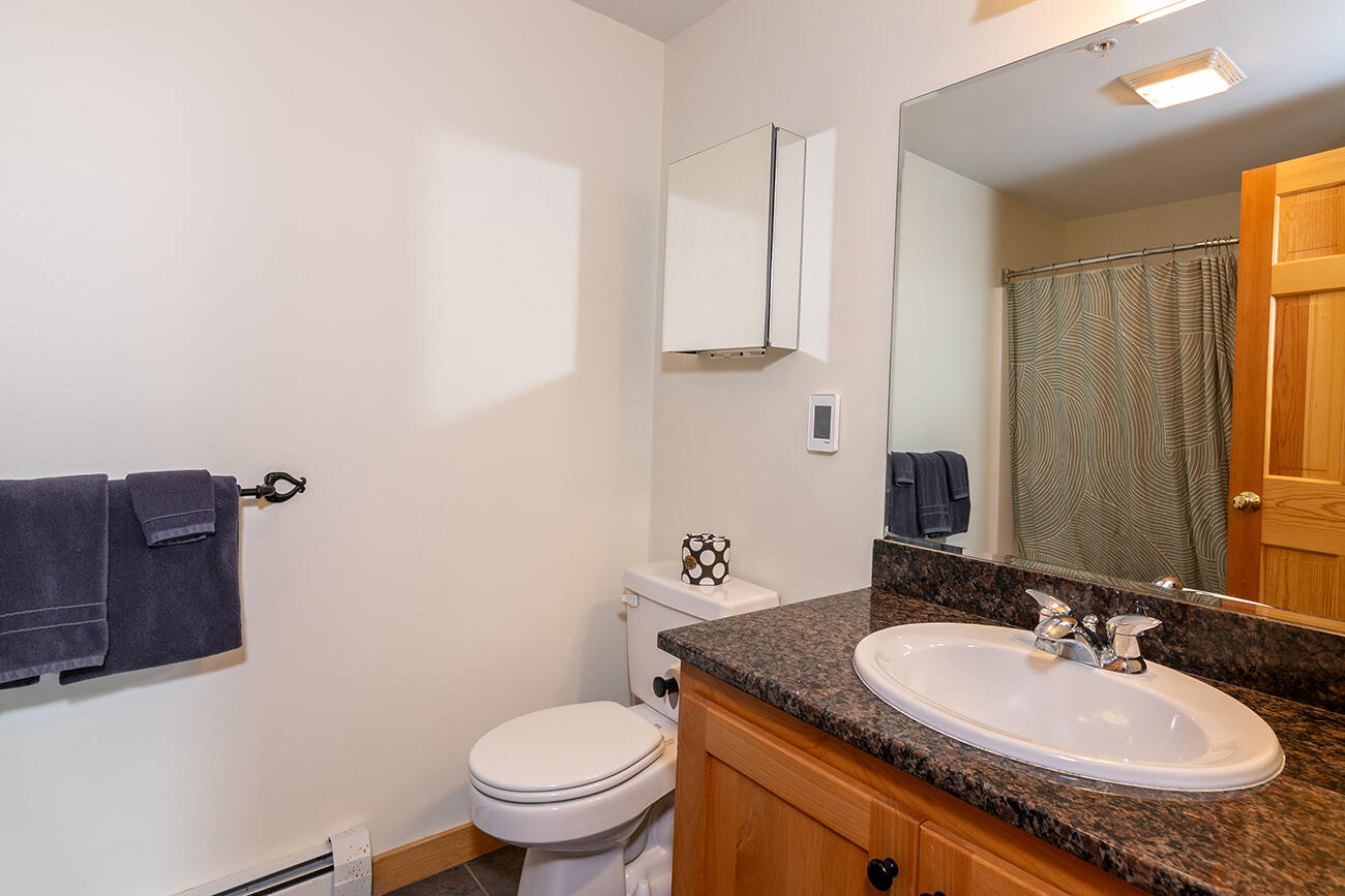 7022 Hardwood Ridge Road, Unit 7022 Kingfield, ME 04947 - Photo 19 of 31 Basement Full Bath