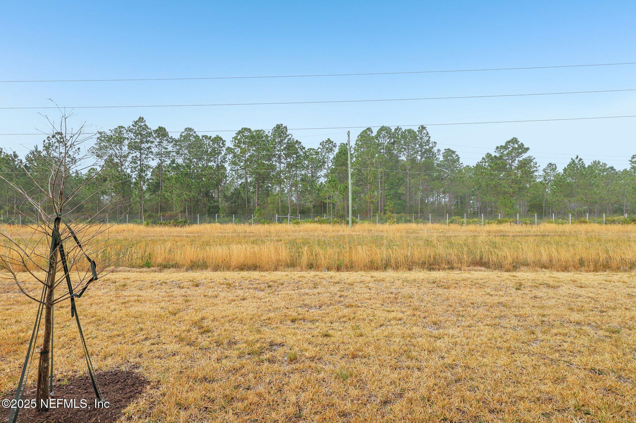 7738 Merchants Way Jacksonville, FL 32222 - Photo 28 of 29 a view of swimming pool with a yard