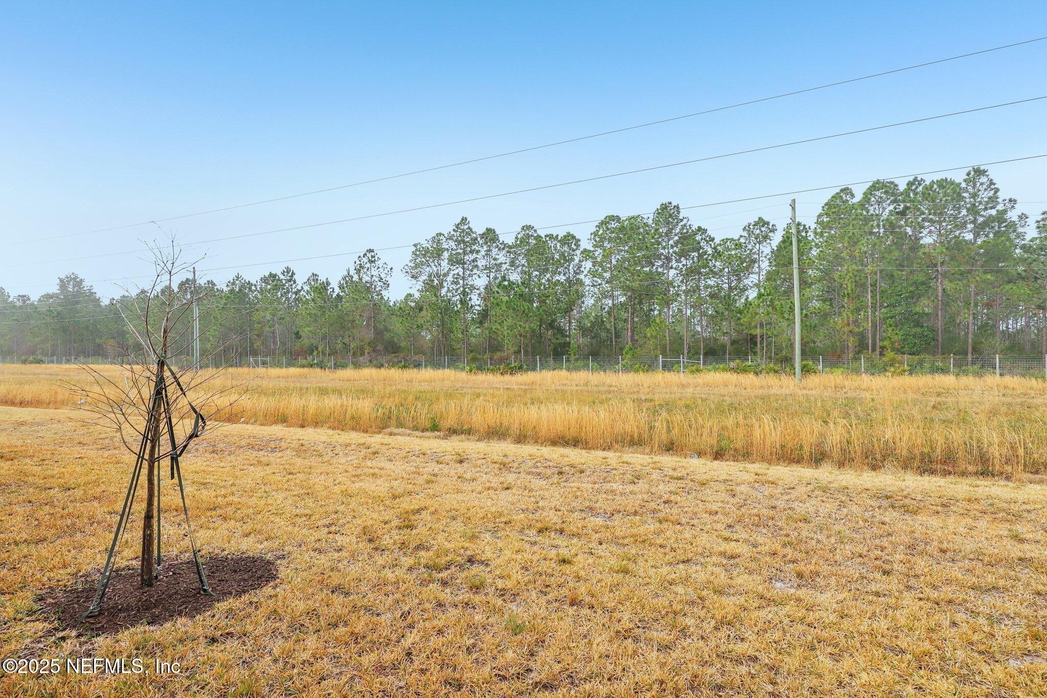 7738 Merchants Way Jacksonville, FL 32222 - Photo 29 of 29 a view of a lake and trees