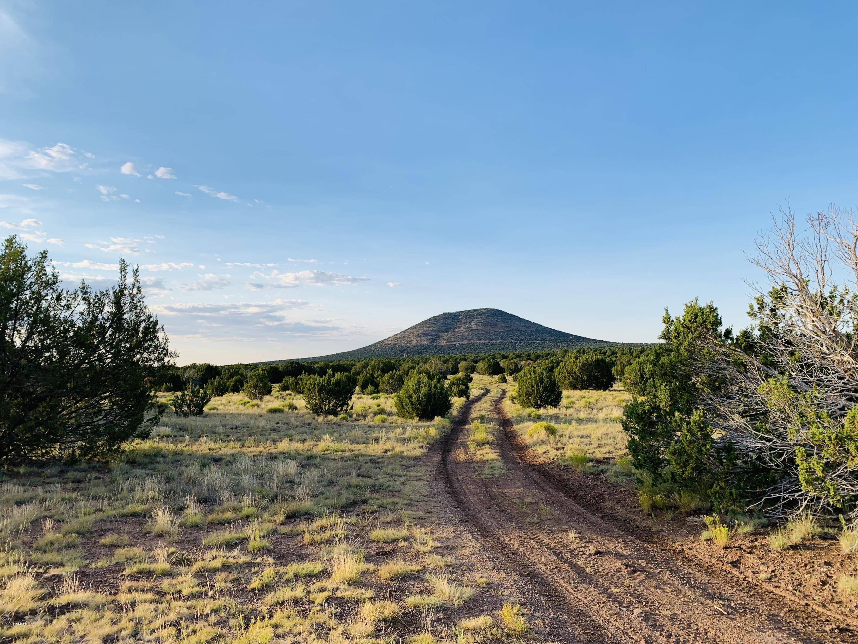 1191 Hoctor Road Williams, AZ 86046 - Photo 9 of 13 1191 E Hoctor RD Photo 9