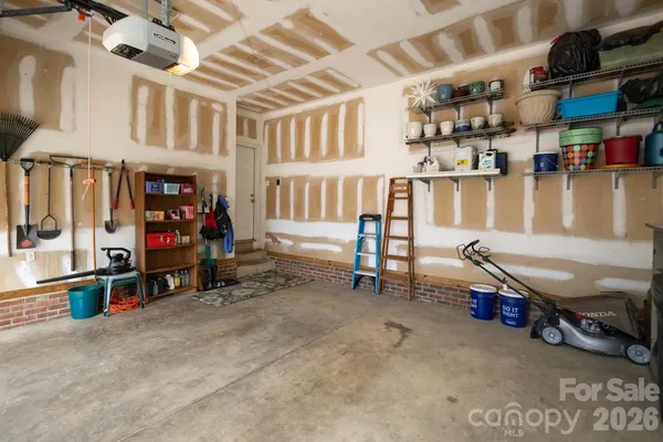 a view of a flower in a garden