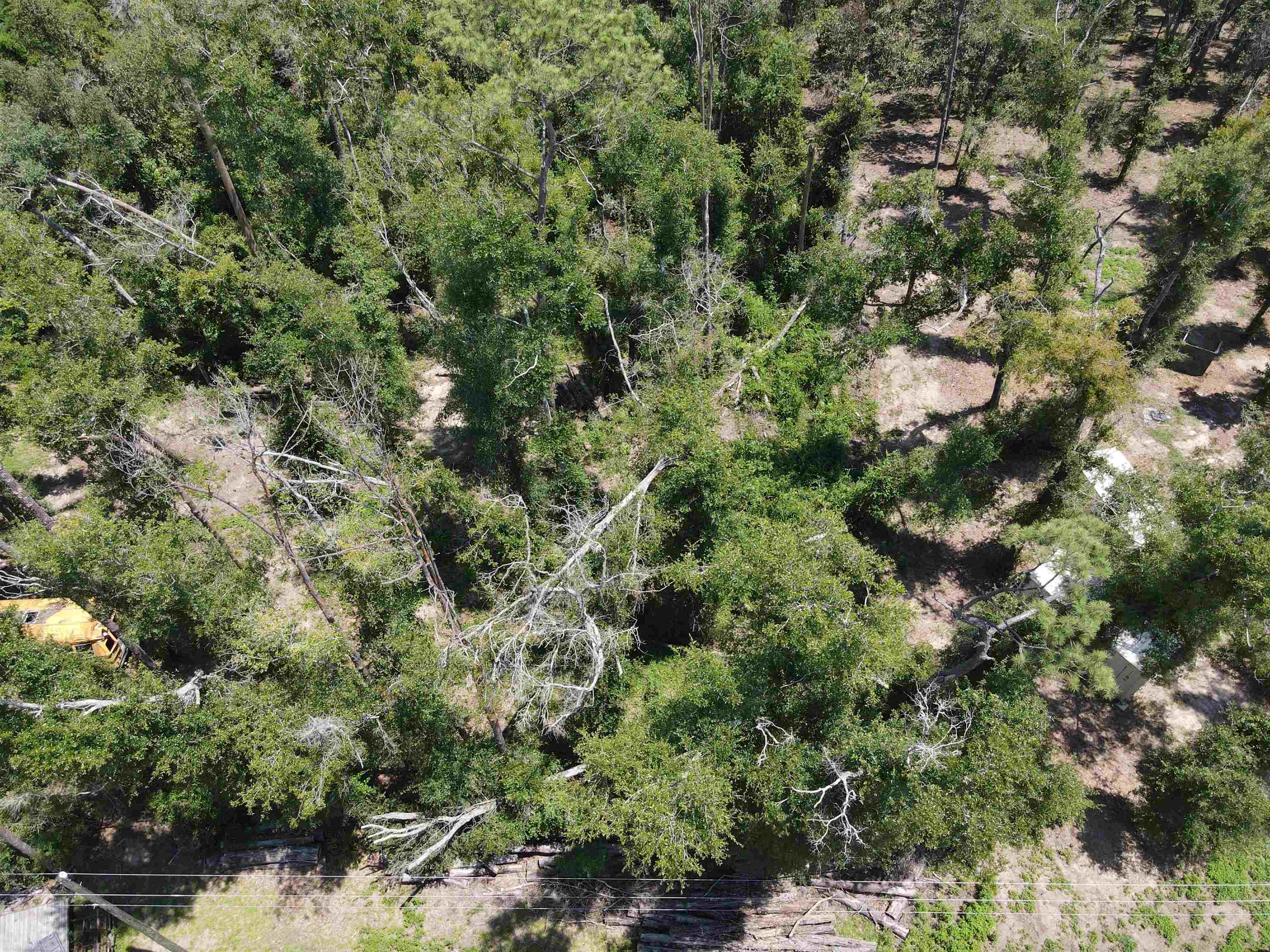 0 Northeast Blue Springs Church Road Lee, FL 32059 - Photo 10 of 12 Gallery Image 10