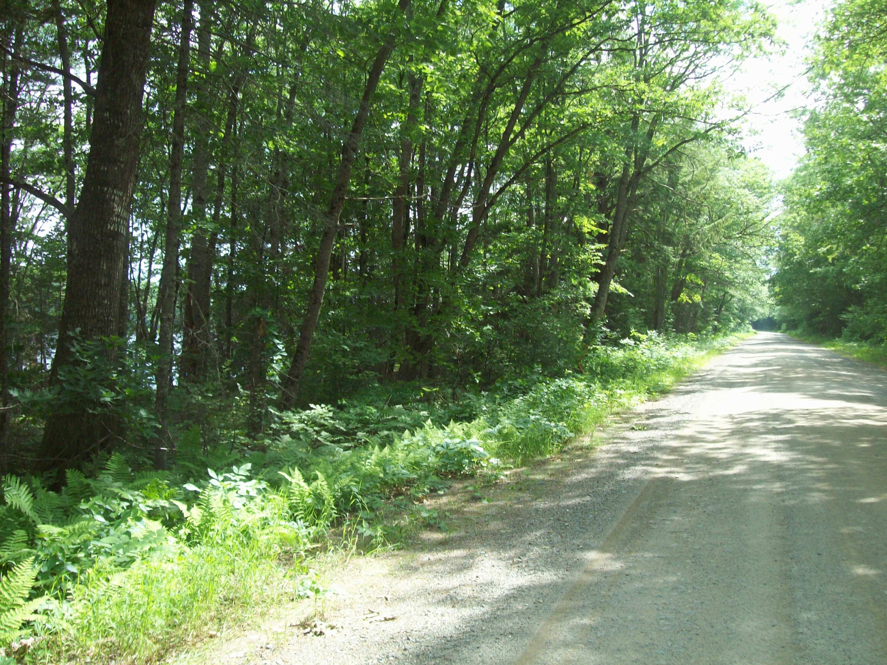 Tbd Mattmiscontis Road Lincoln, ME 04457 - Photo 12 of 12 100_2063