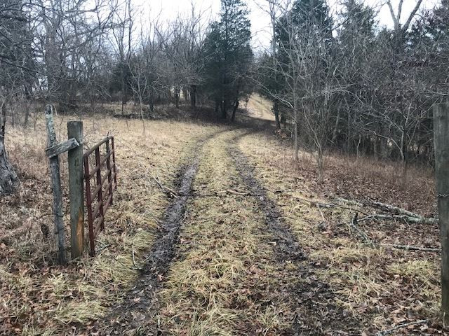 0 Toadvine Road Brooksville, KY 41004 - Photo 2 of 5 Gallery Image 2