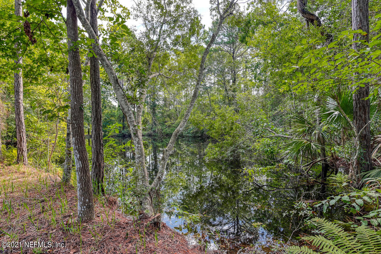 7001 Catlett Road St. Augustine, FL 32095 - Photo 33 of 46 a view of forest