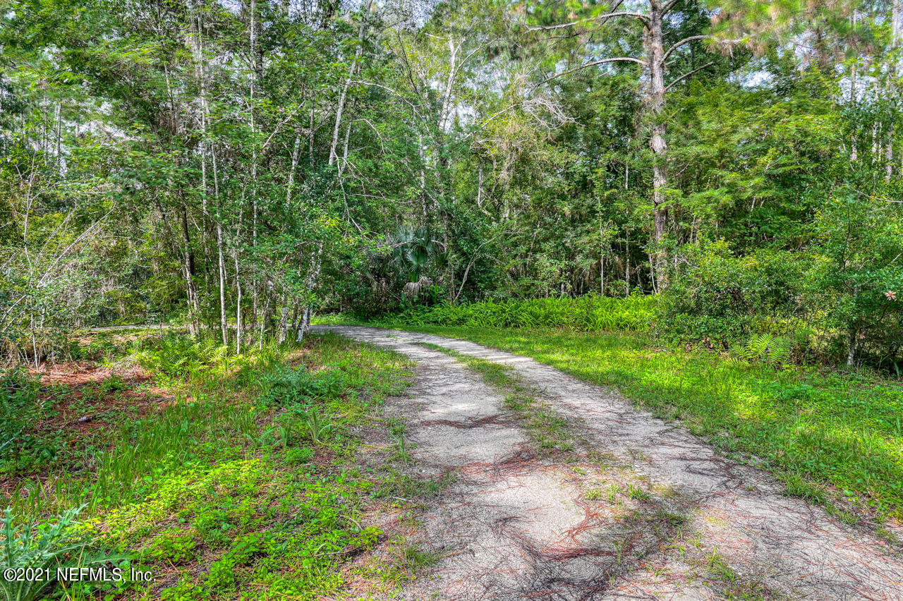7001 Catlett Road St. Augustine, FL 32095 - Photo 34 of 46 a view of a yard with plants and large trees