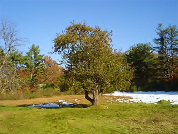 184 Minott Road Gardner, MA 01440 - Photo 11 of 14