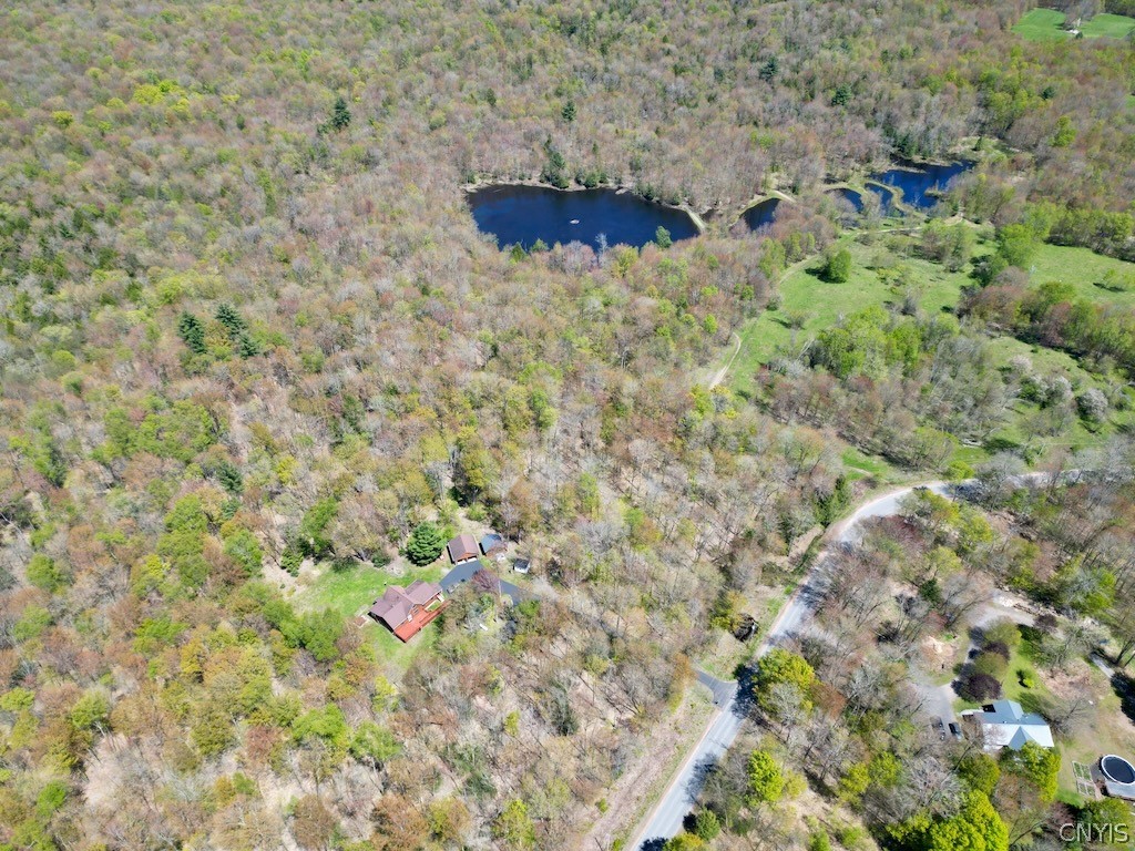 0 North Hillsborough Road Camden, NY 13316 - Photo 13 of 16