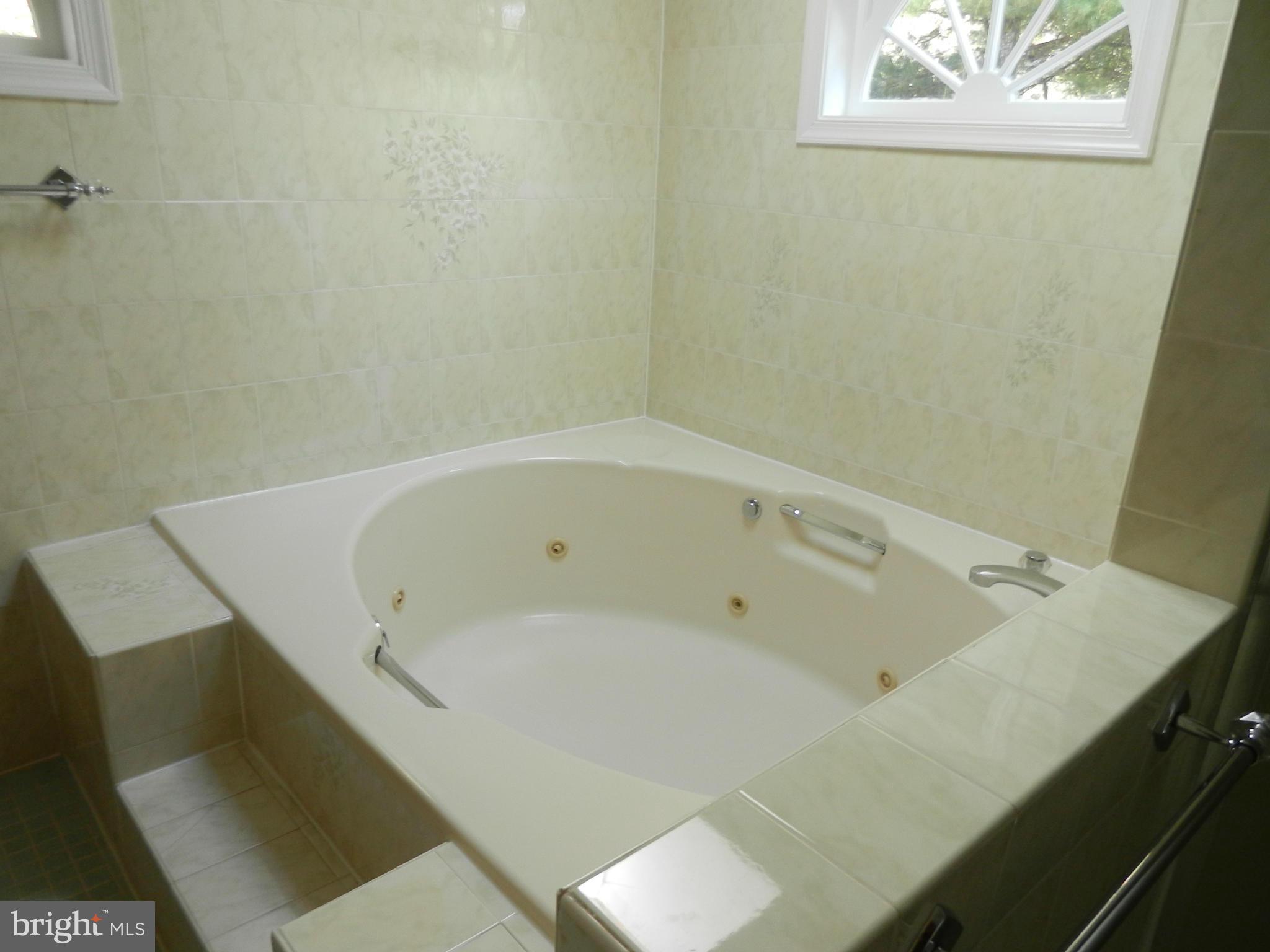 9934 Lawyers Road Vienna, VA 22181 - Photo 24 of 28 Bath (Master)